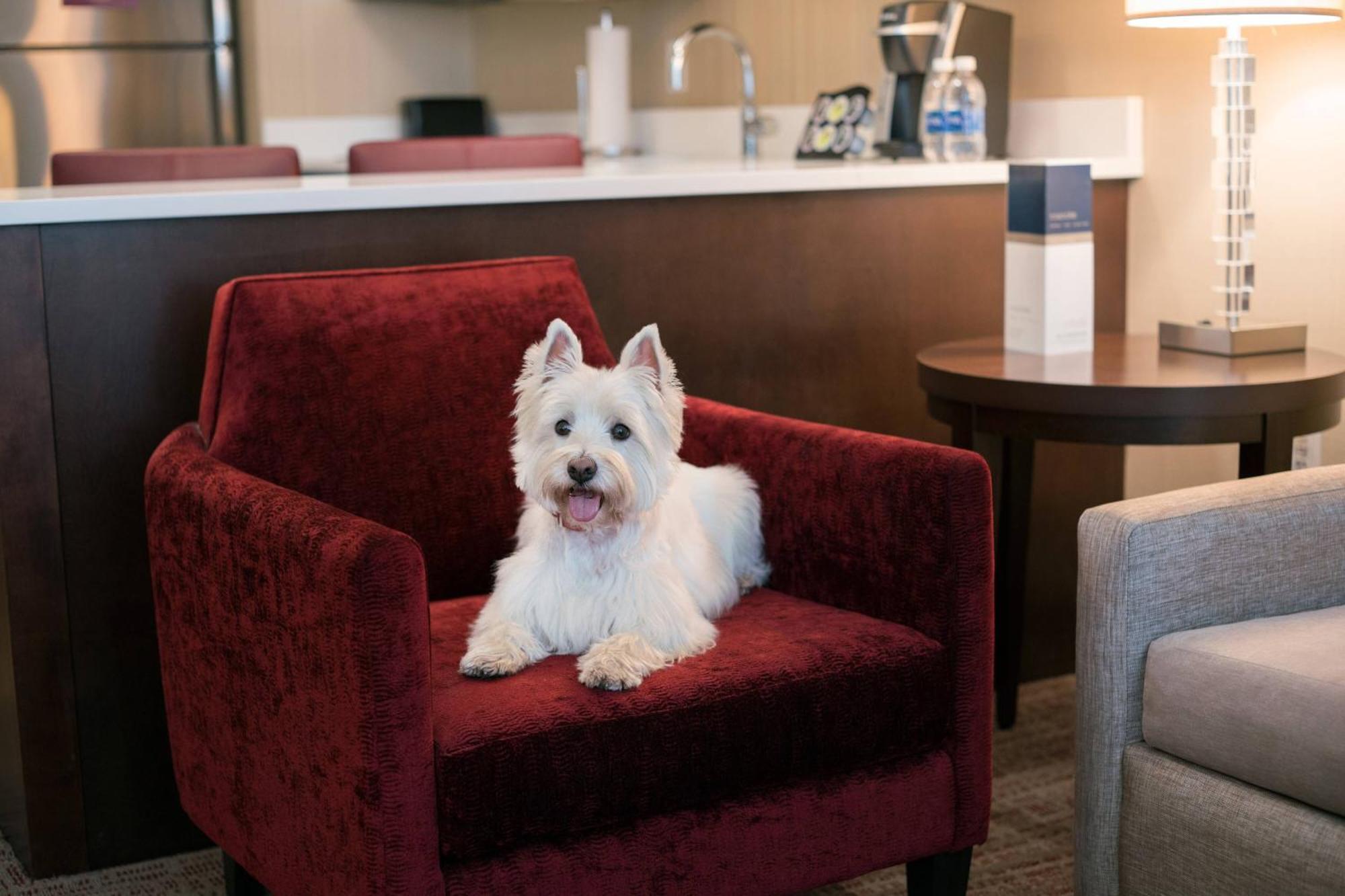 Residence Inn By Marriott Chicago Downtown/Loop Εξωτερικό φωτογραφία